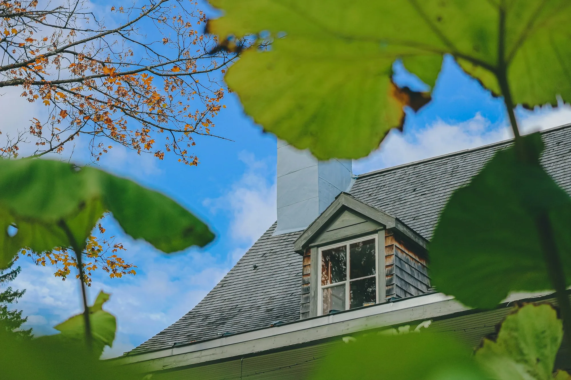 Pitched residential roof and chimney seen against the sky